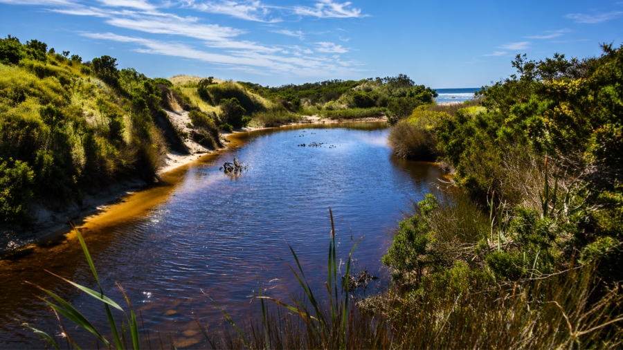 0 Bedroom Property for Sale in Bettys Bay Western Cape